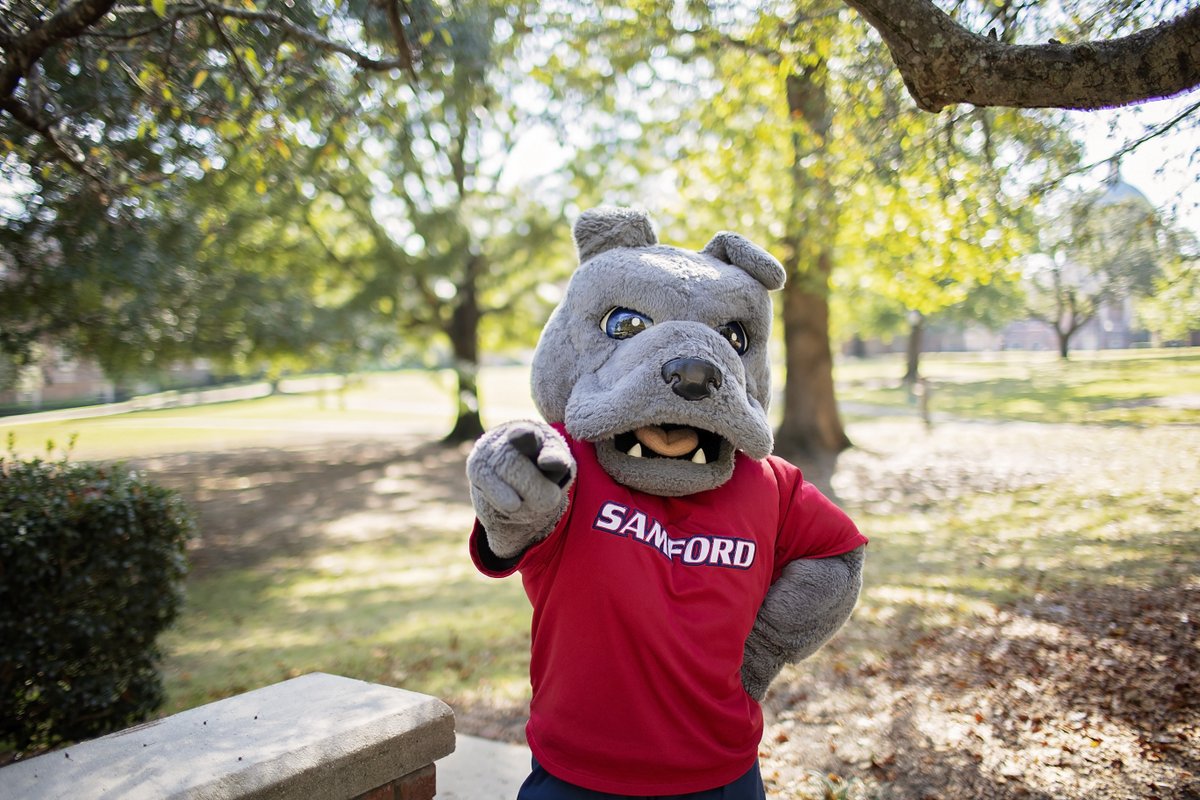 SamfordAlumni tweet media