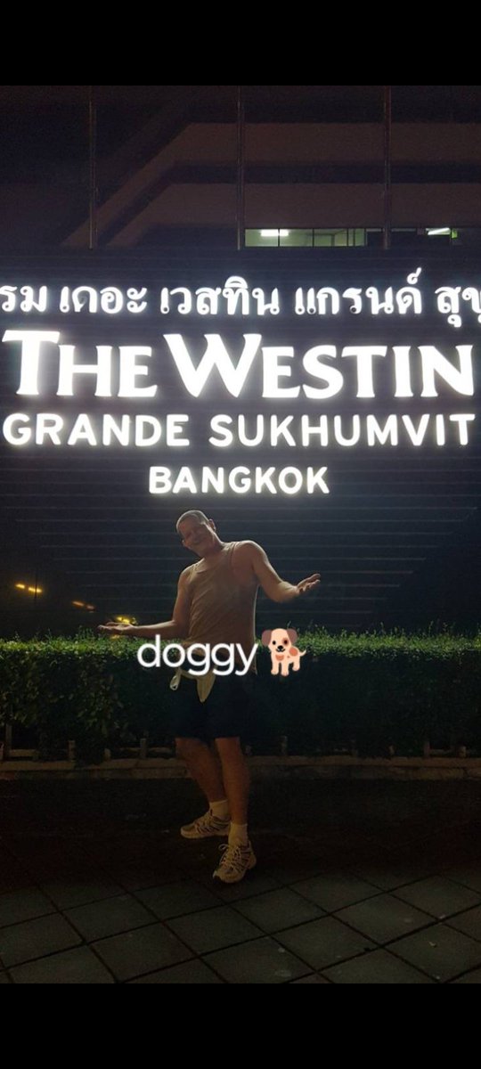 🙏Moondoggy🙏 tweet media