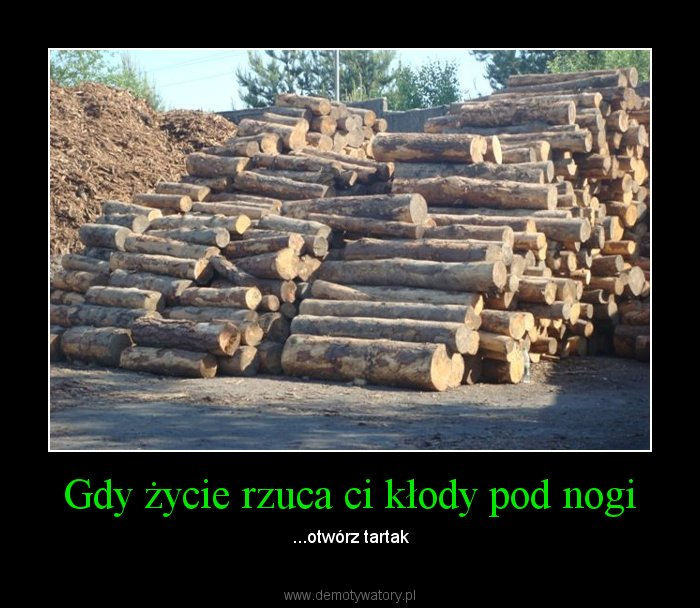 king vą tweet media