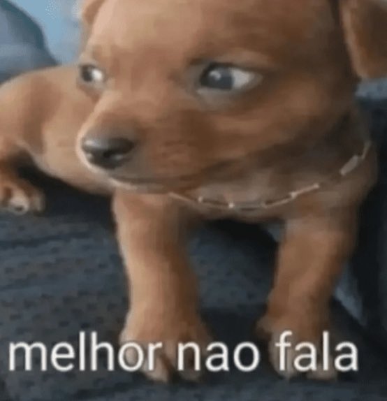 Hyposelenia tweet media