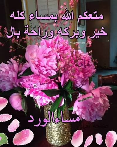 نقاء العبدالله🇸🇦💚 tweet media