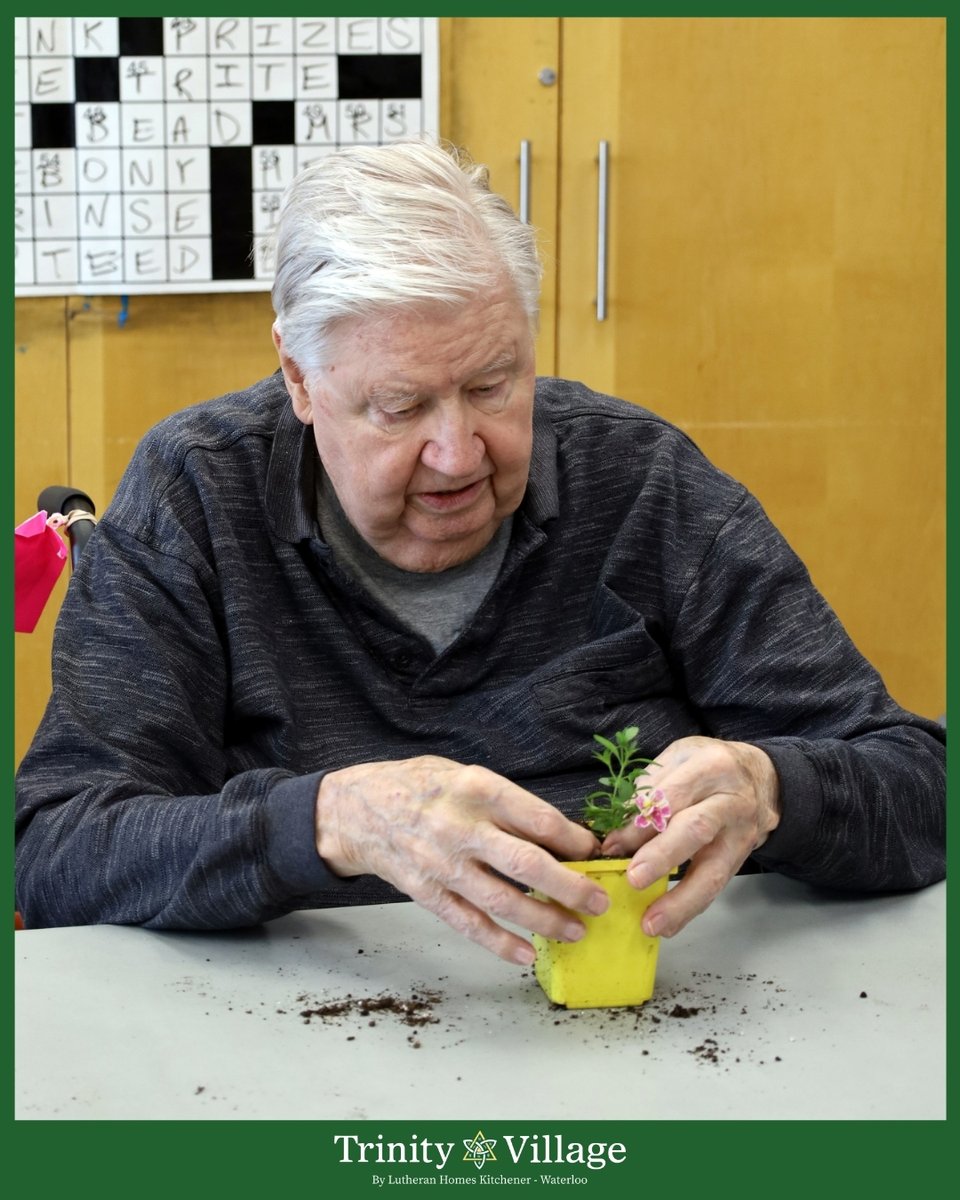 Trinity Village tweet media