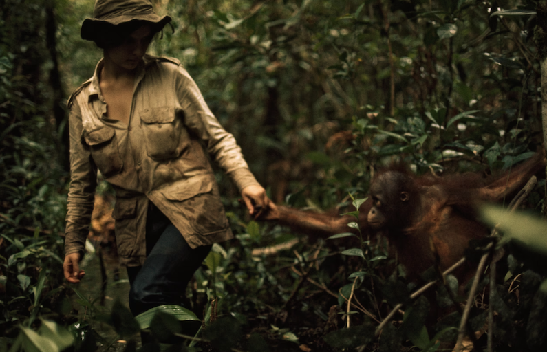WorldApeFund's tweet photo. We’re deeply saddened to hear of the passing of Dr. Biruté Galdikas, a true pioneer in orangutan conservation. Here is the original 1975 National Geographic story highlighting her passion, commitment, and the early impact of her efforts: https://t.co/ykG9qkxVHN https://t.co/tMUgJfIfRP
