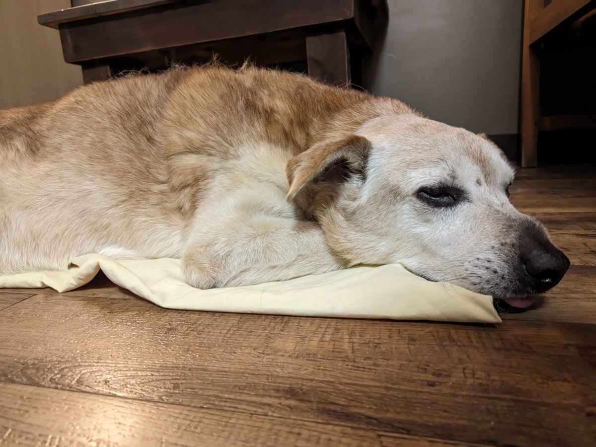 H̀͠T̶TP ́̕L̨͡o̡͠v̕ec̢̀͜ra̛͞f̕ť tweet media