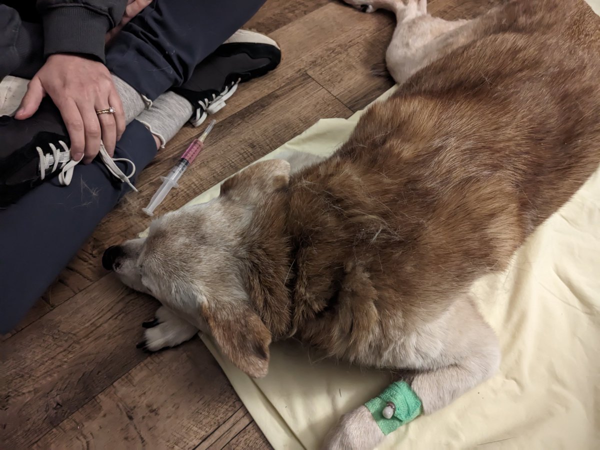 H̀͠T̶TP ́̕L̨͡o̡͠v̕ec̢̀͜ra̛͞f̕ť tweet media