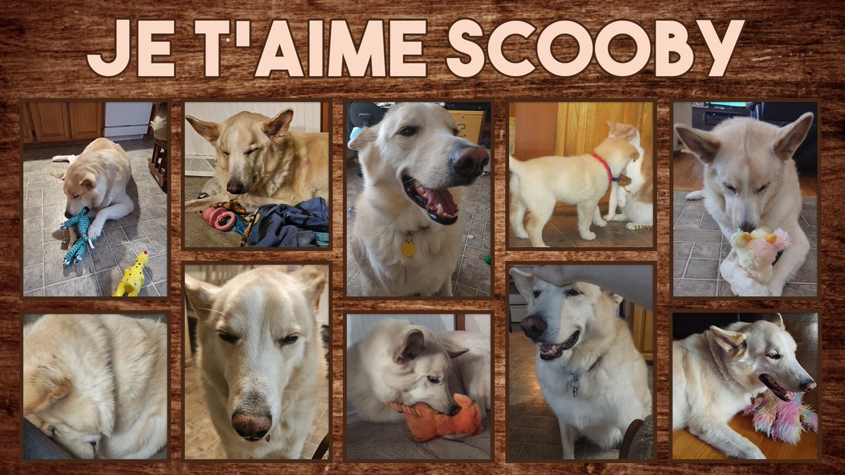 Tunable982 tweet media