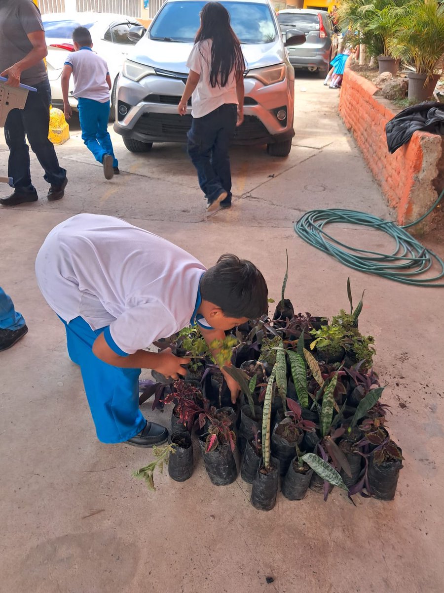Secretaría de Gestión de Riesgos y Contingencias tweet media