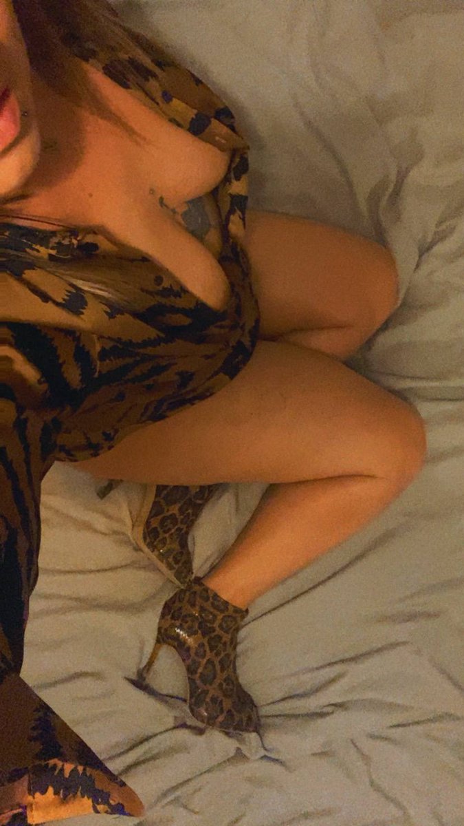 PensieriZero's tweet photo. Serata leopard 🐆🐆🐆 buona serata 😘😘 https://t.co/zxiTyklxhC