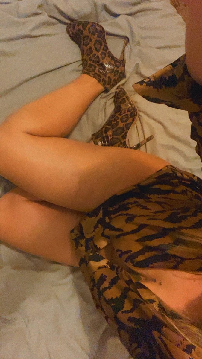PensieriZero's tweet photo. Serata leopard 🐆🐆🐆 buona serata 😘😘 https://t.co/zxiTyklxhC
