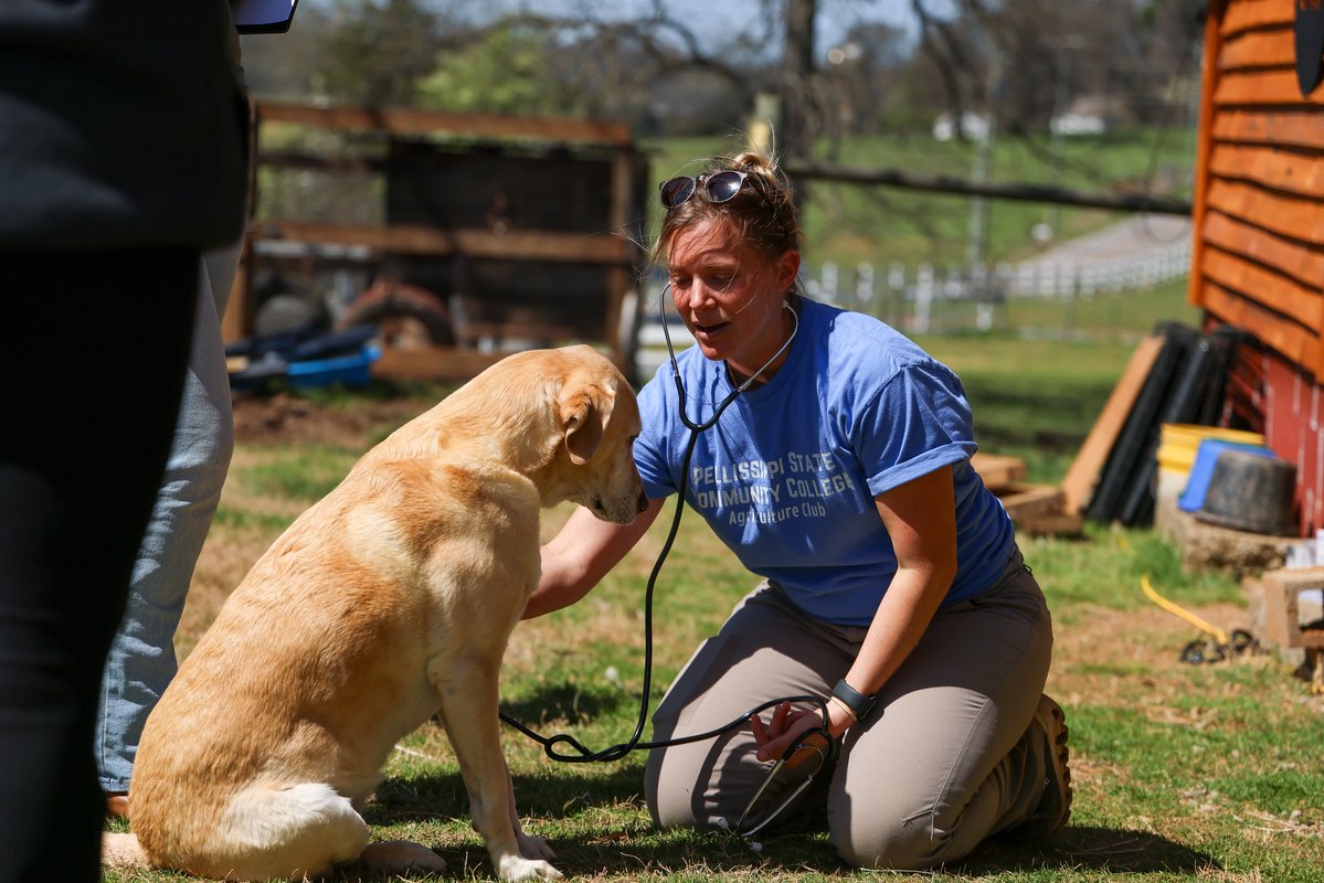 Pellissippi State tweet media