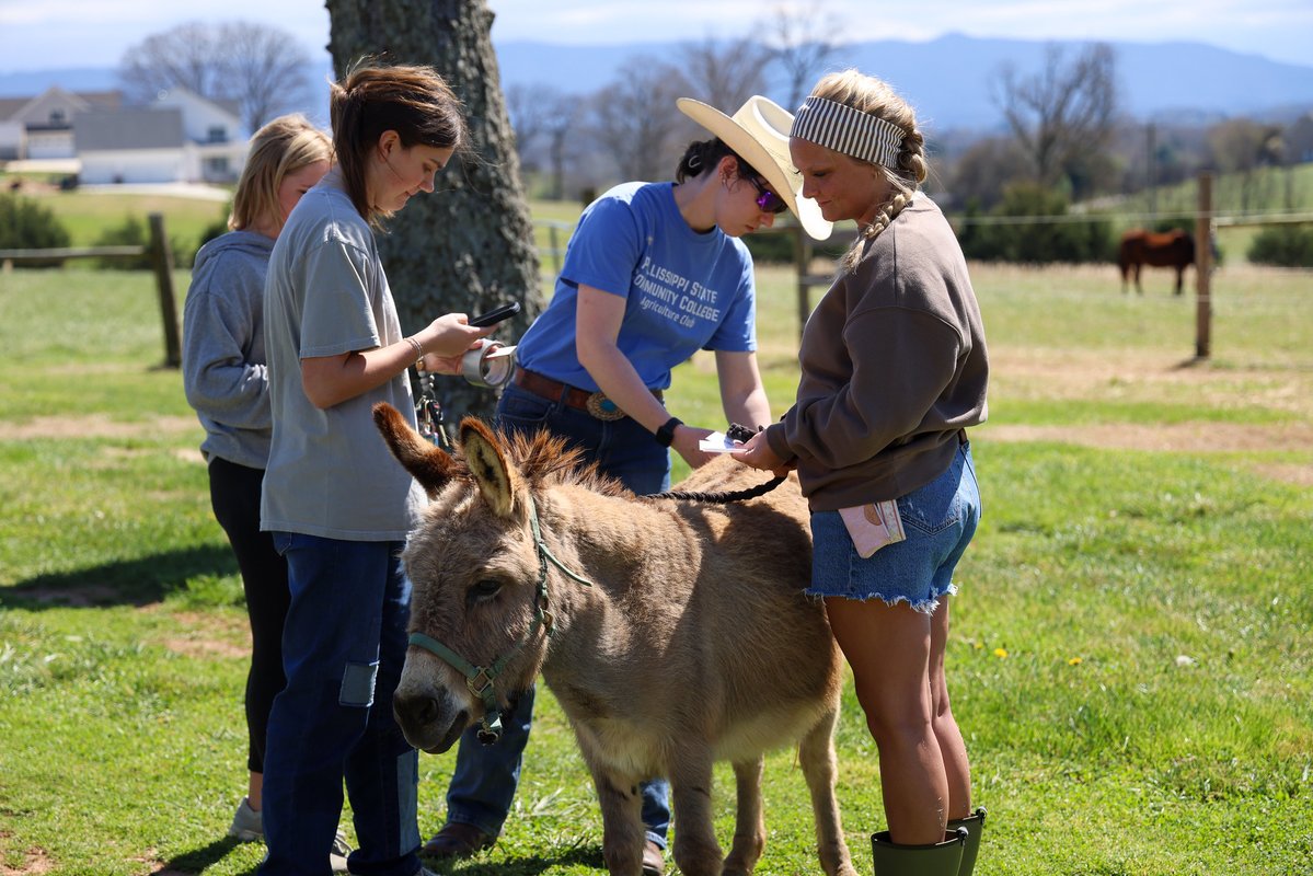 Pellissippi State tweet media