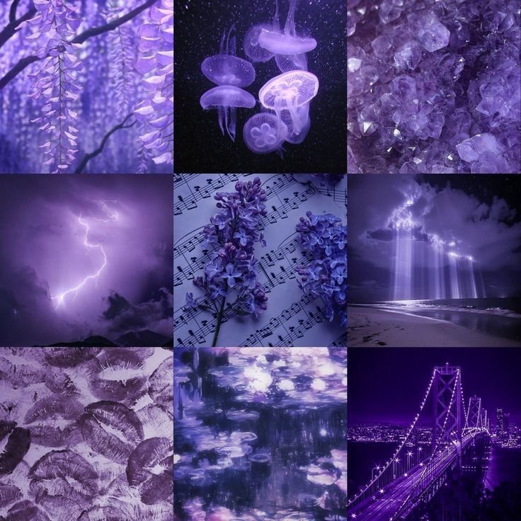 violet✧*｡ tweet media