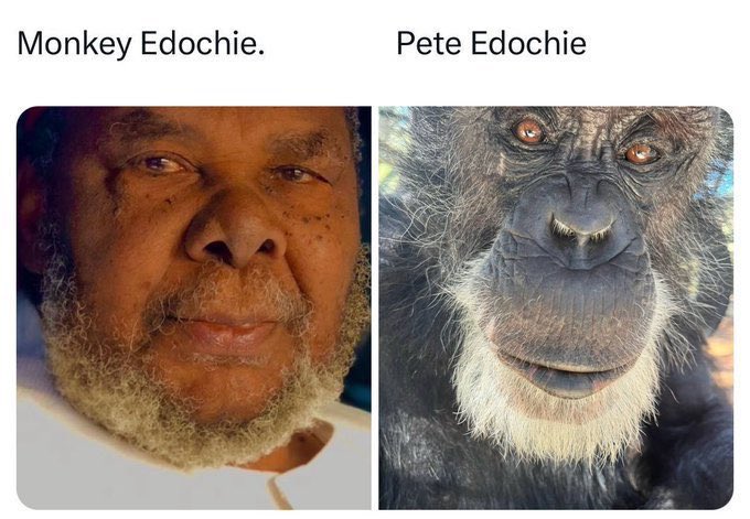 Badman jr tweet media