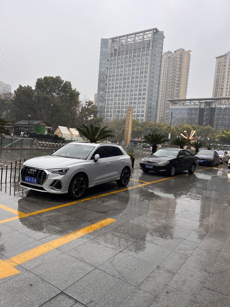 玉壶冰心 tweet media