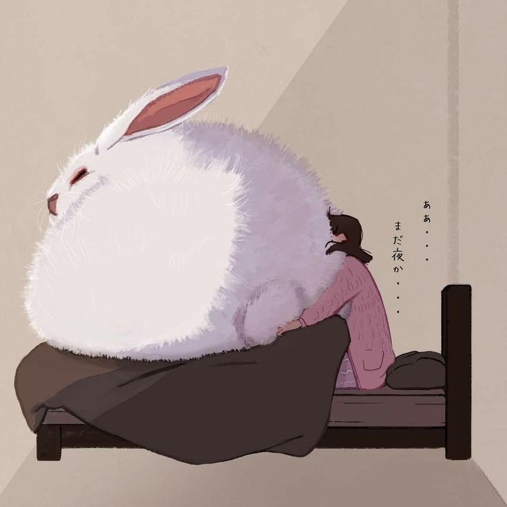 Cutes Animals tweet media