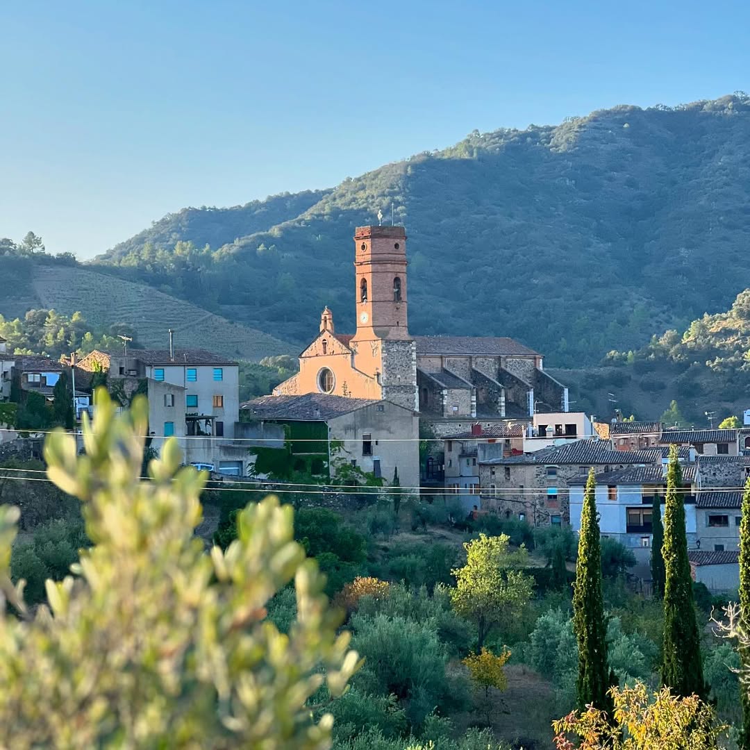 Costa Daurada tweet media