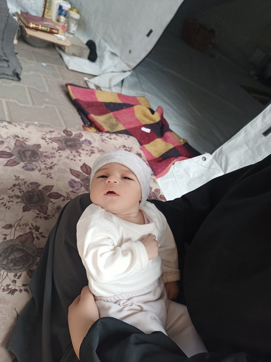 Maha_gaza🇵🇸 tweet media