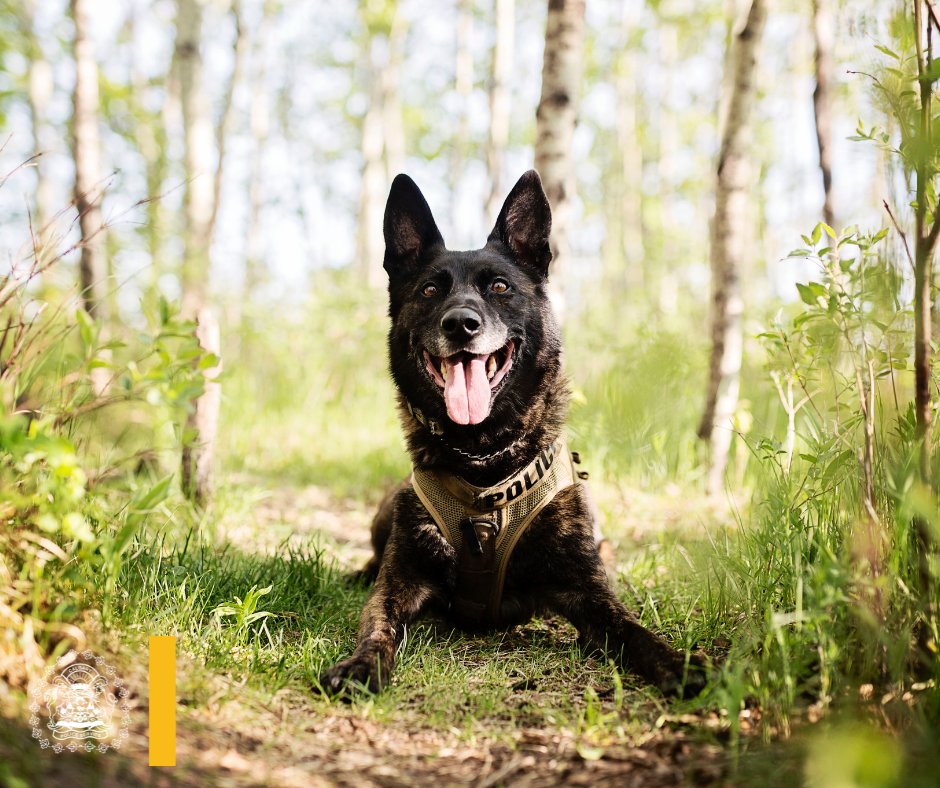 Calgary Police tweet media