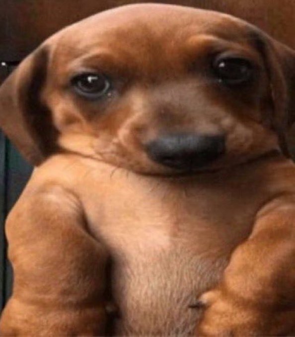 henrique tweet media