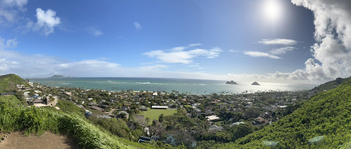 Tanja Krup tweet media