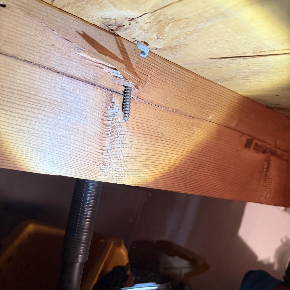 Ashley Rios tweet media