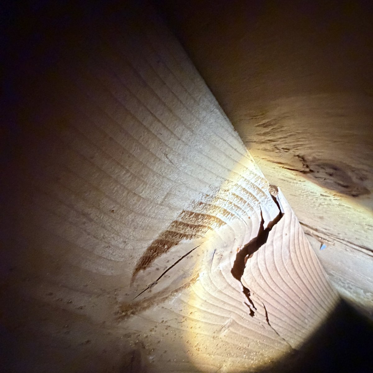 Ashley Rios tweet media