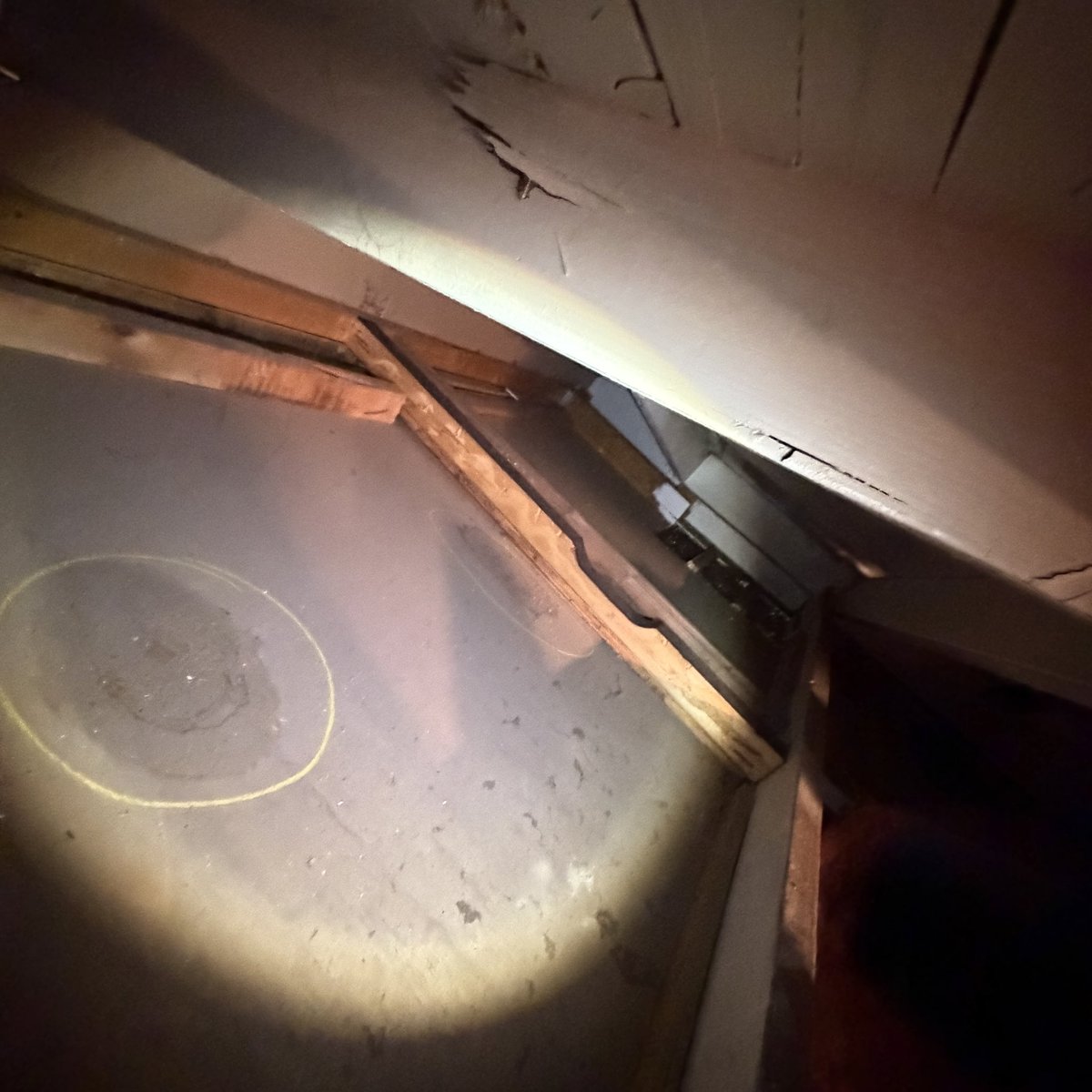 Ashley Rios tweet media