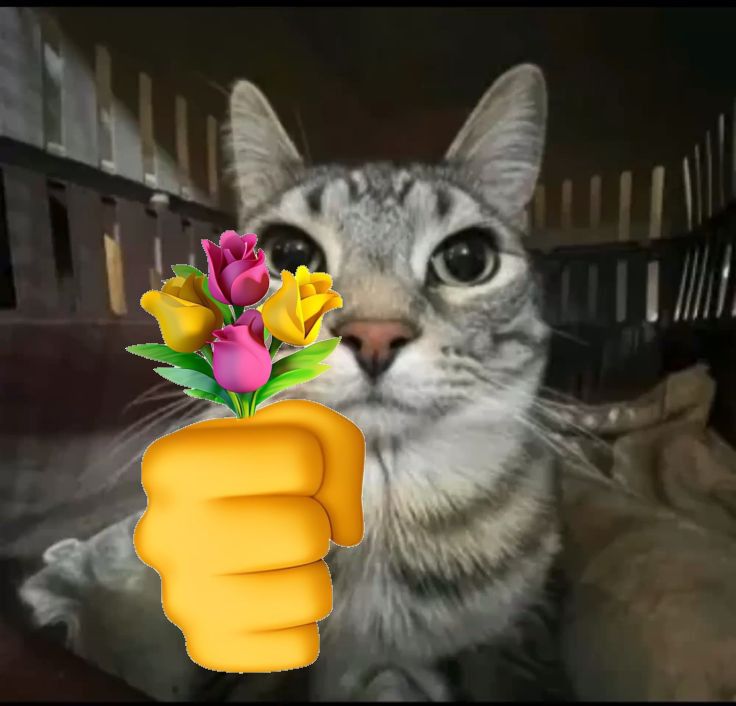 hand washing tweet media