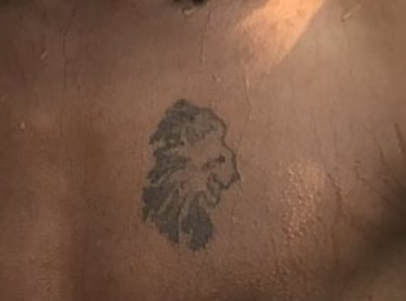 mfesweindrive tweet media