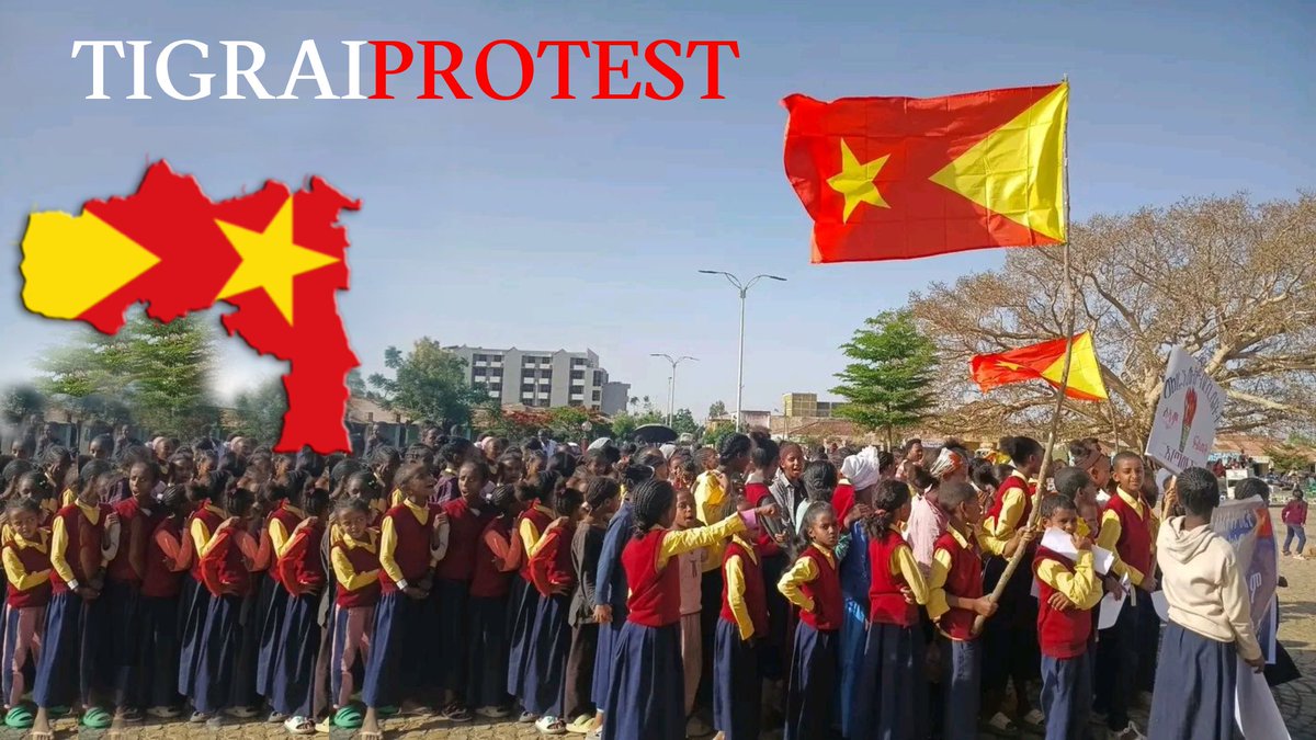 Tigrai Online tweet media