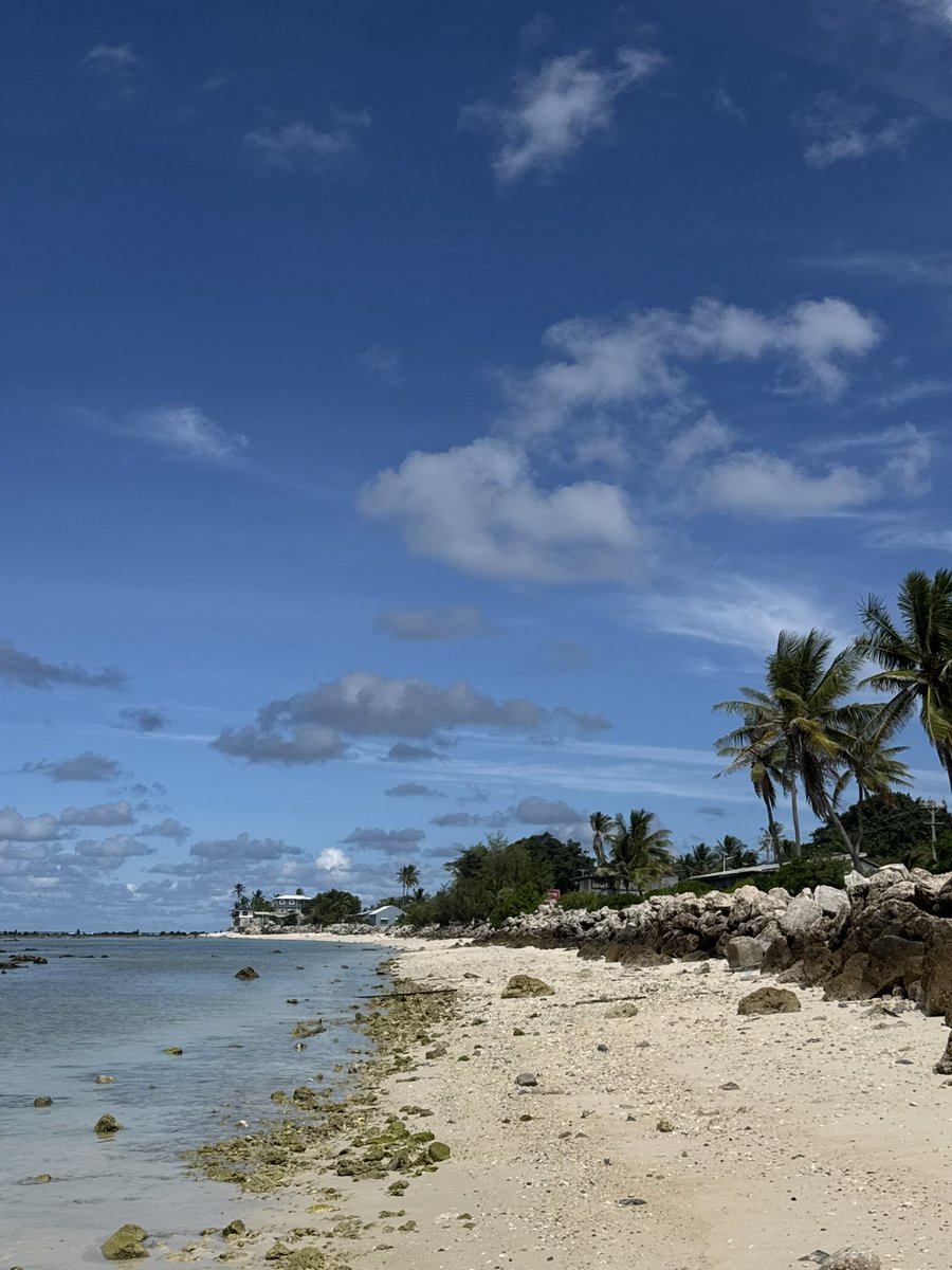 ナウル共和国政府観光局（公式） tweet media