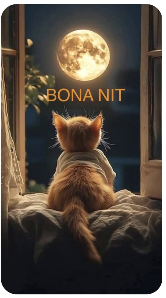 joan bartoli ventura tweet media