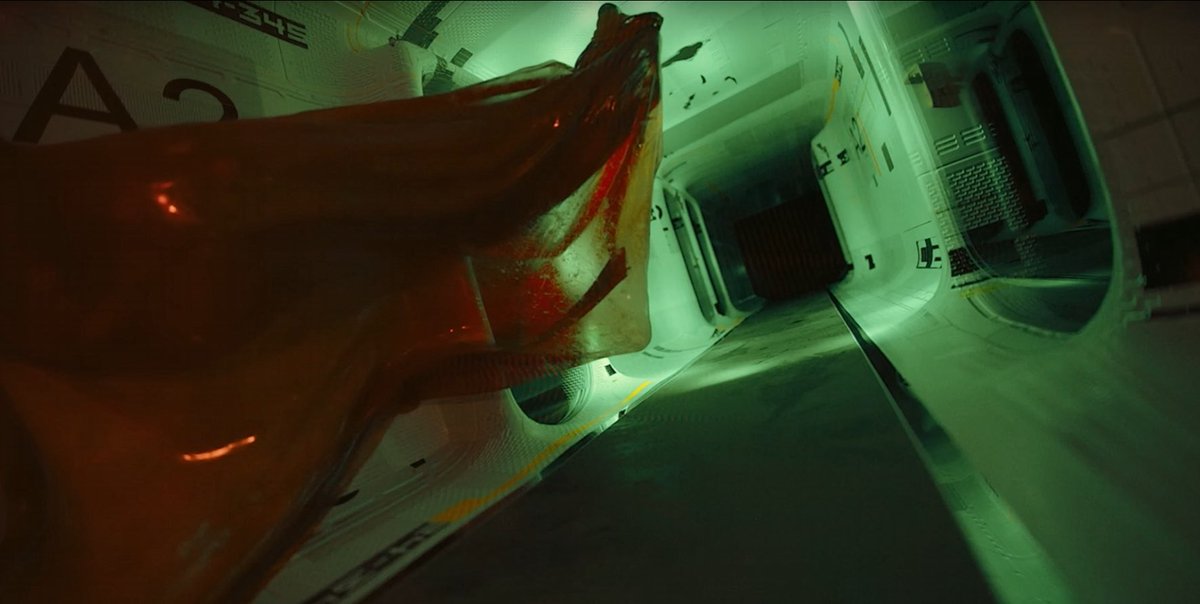 Goose➡️Halo Fest | LFW tweet media