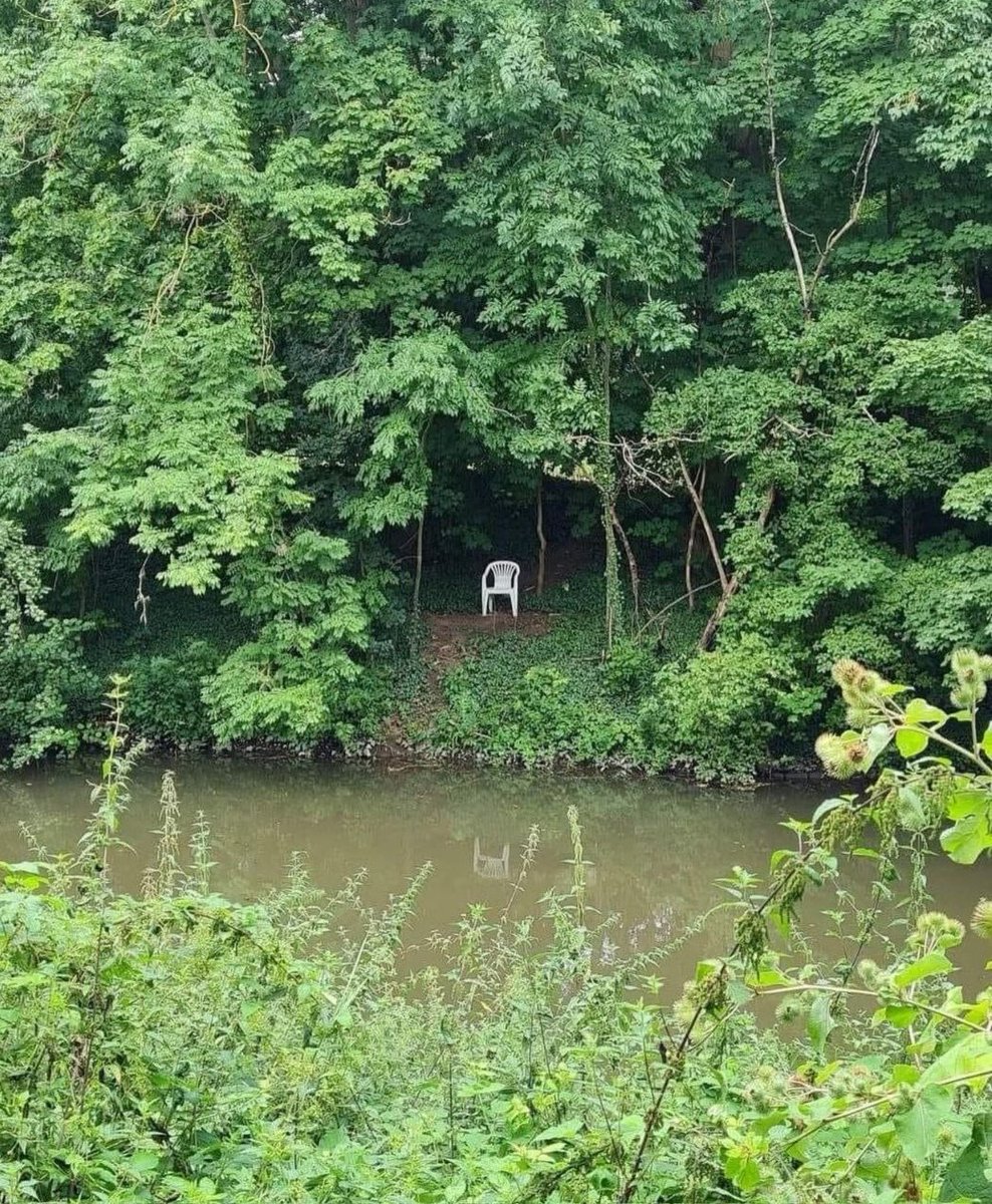 Le Contemplateur tweet media