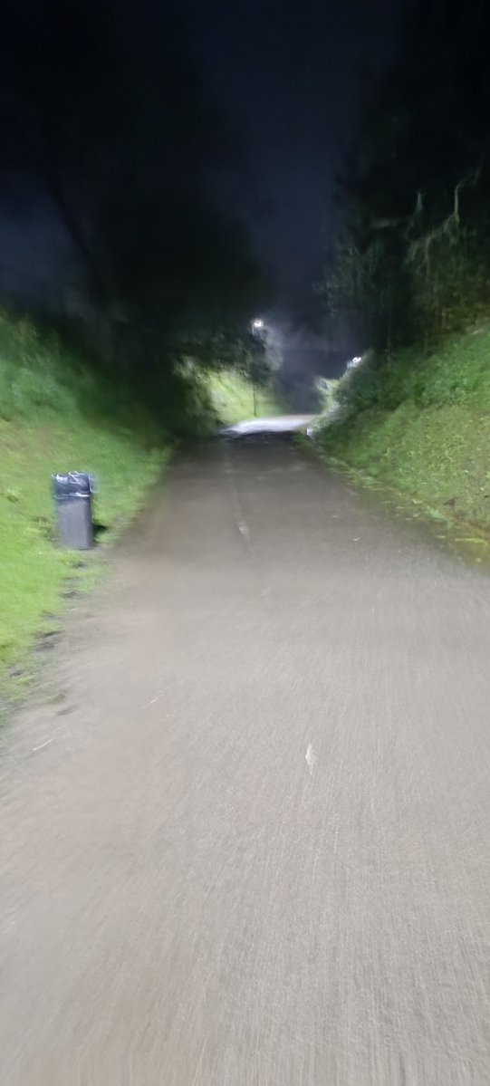 ∆zalea 🌺 tweet media