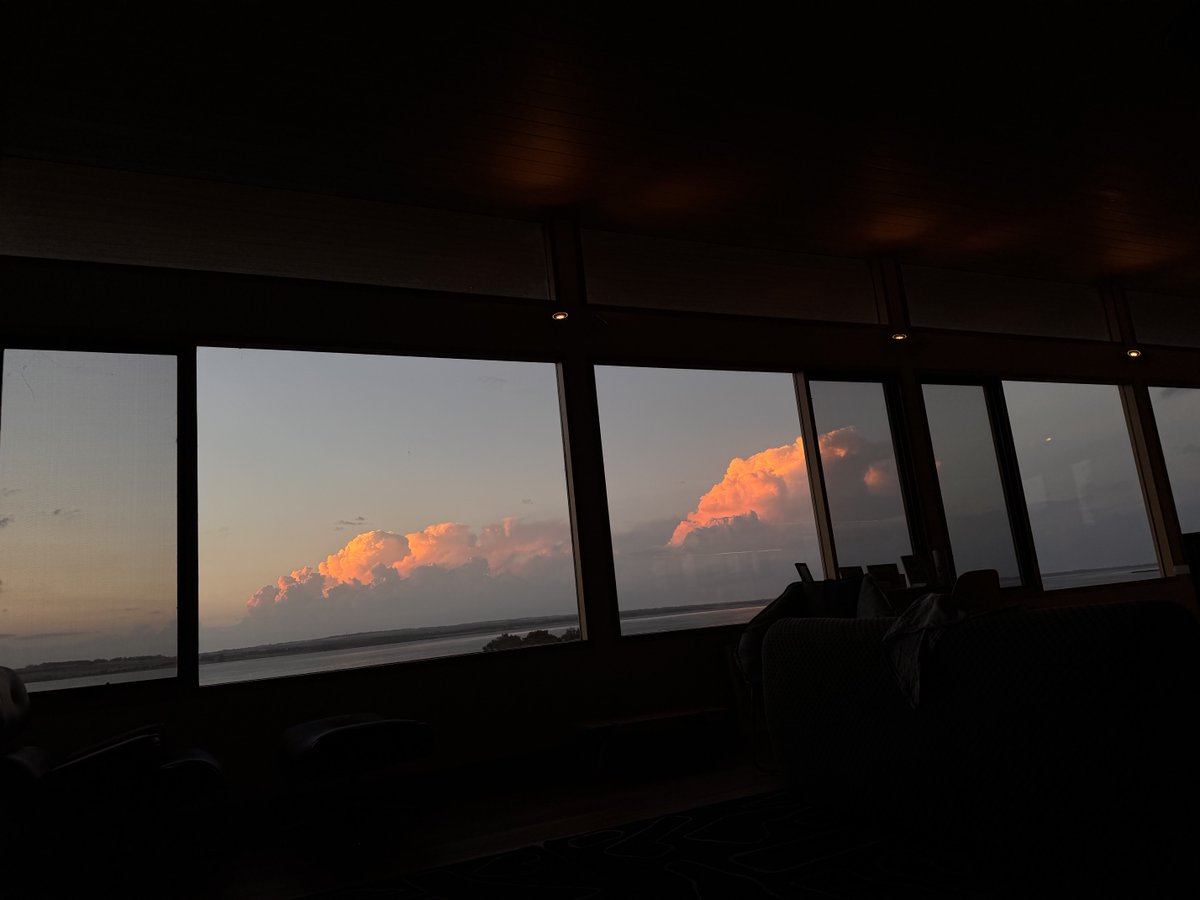 Dorian Grey(hound) tweet media