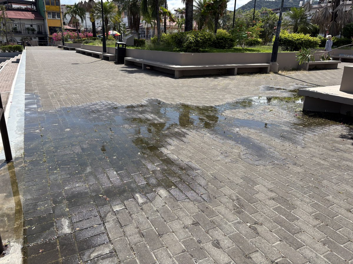 claudiachd tweet media