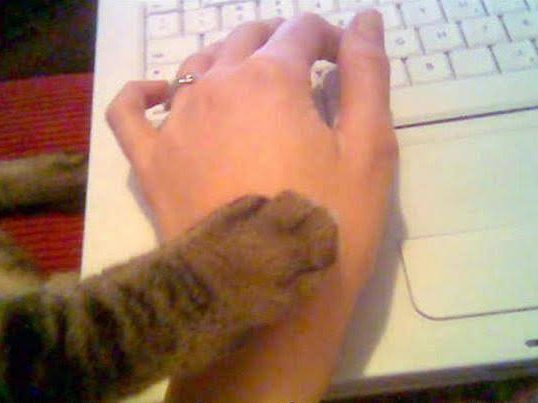 Rubens⚡️ tweet media