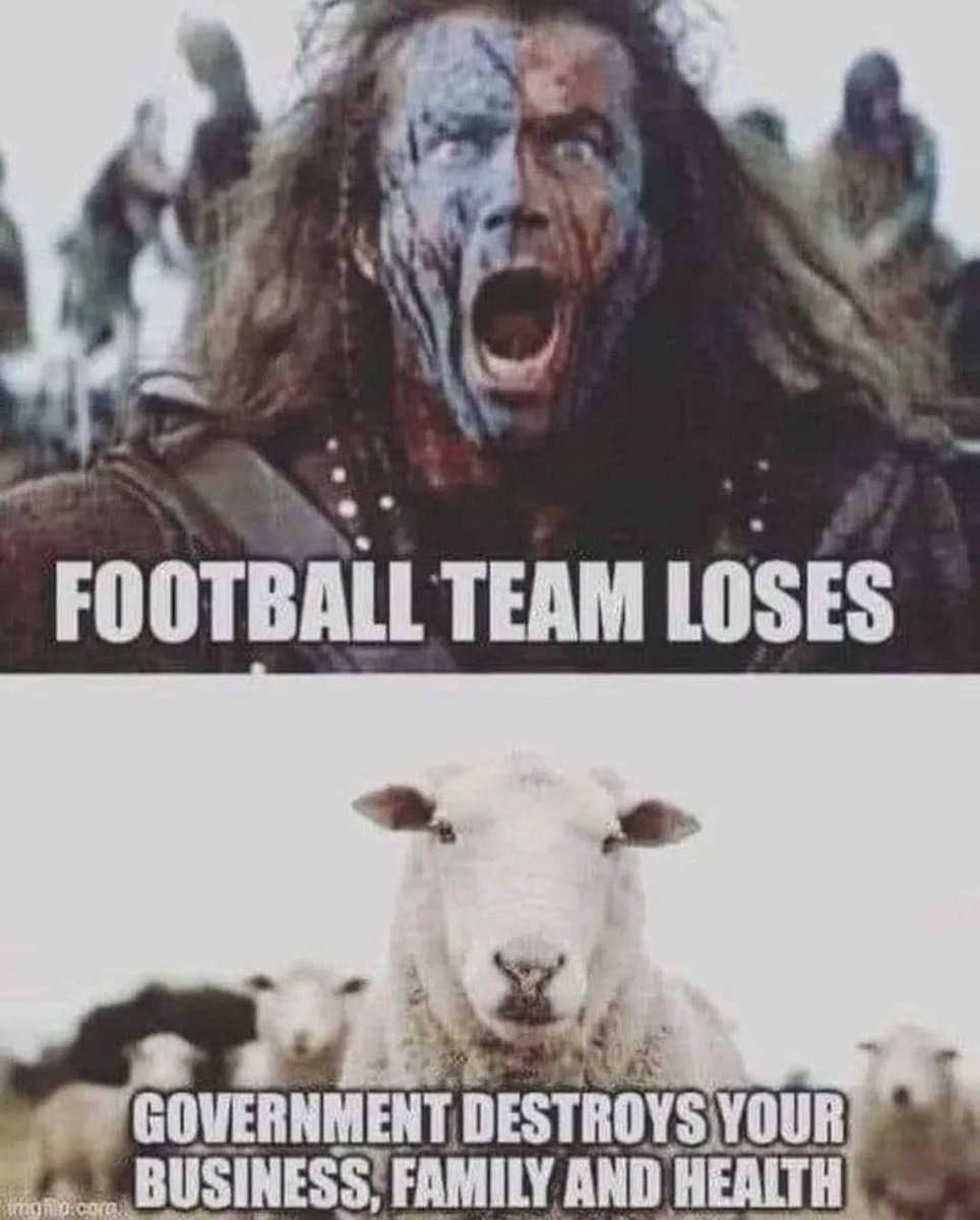 rabbitholebot tweet media