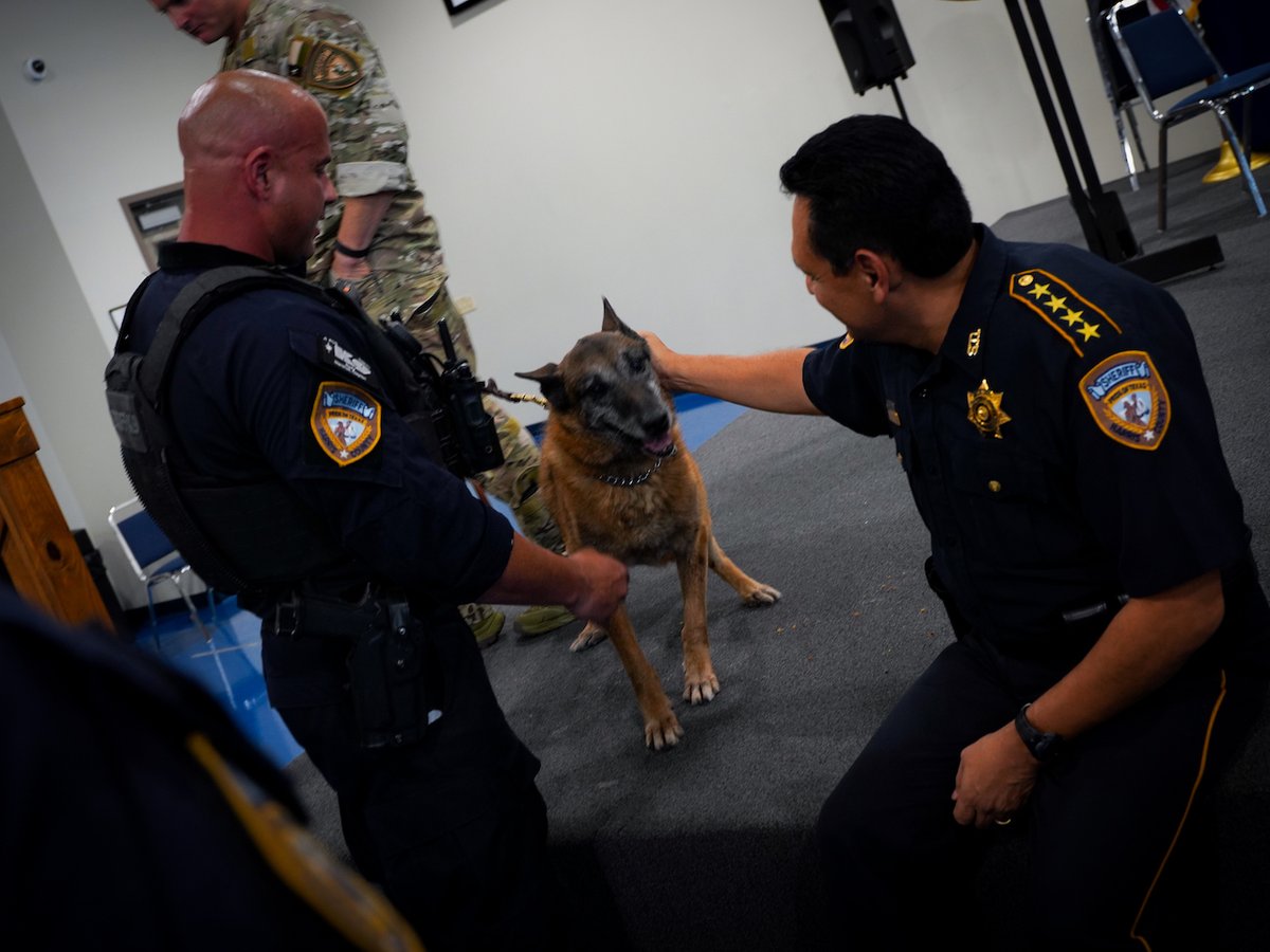 HCSOTexas tweet media