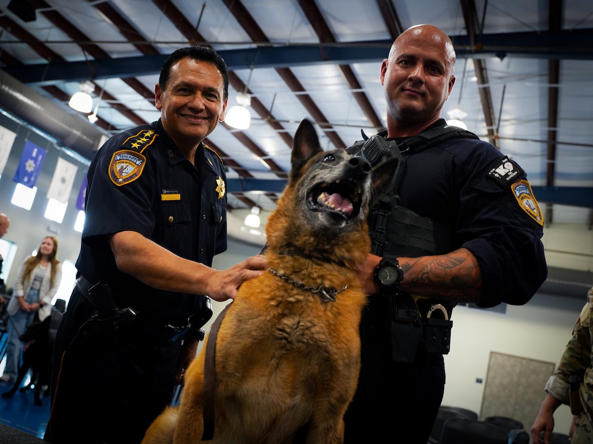 HCSOTexas tweet media