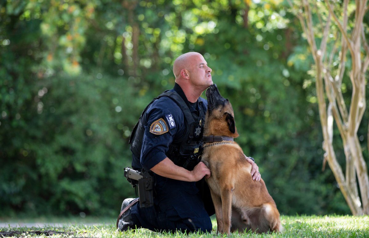 HCSOTexas tweet media