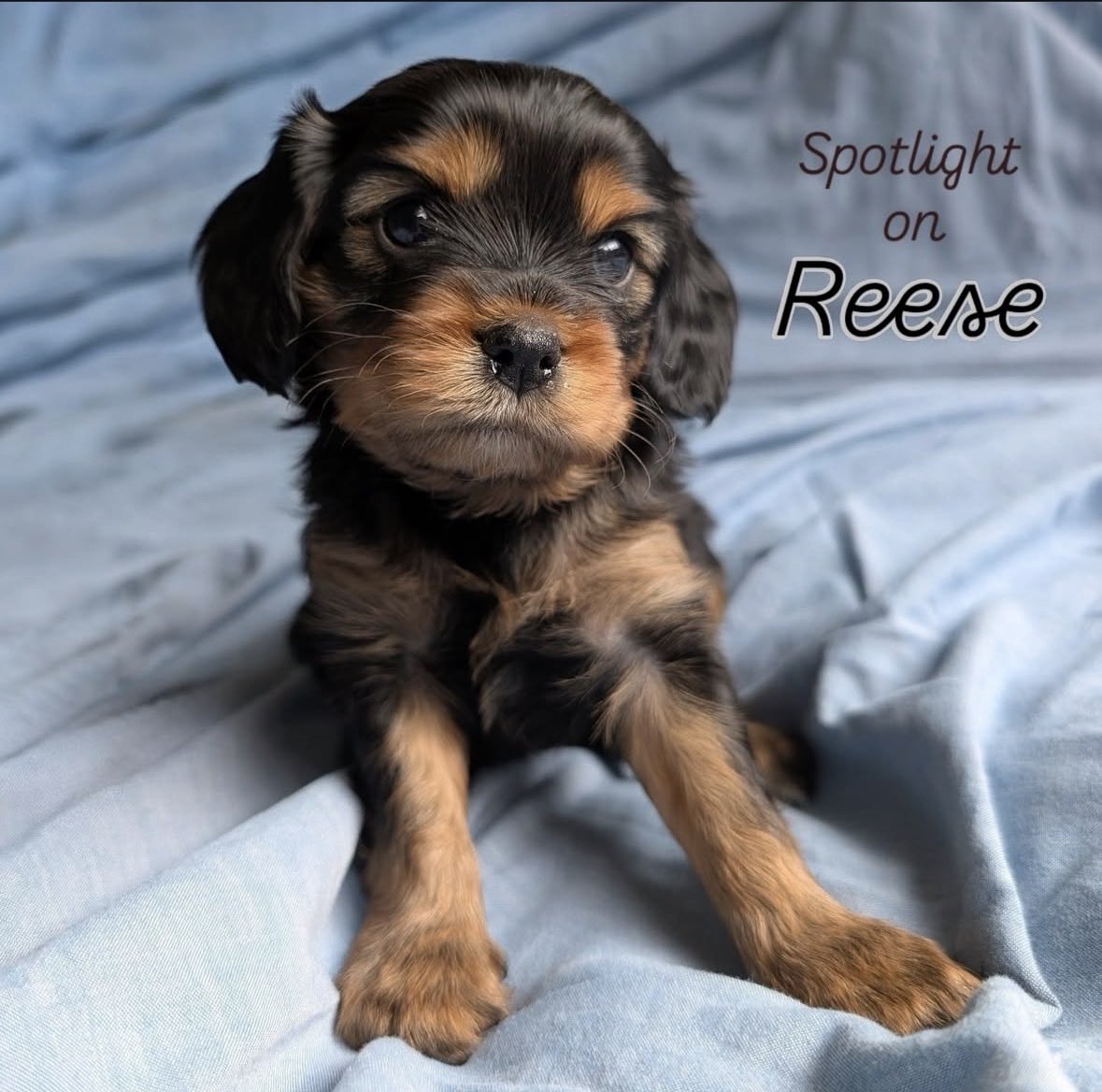 Iain MacMillan tweet media