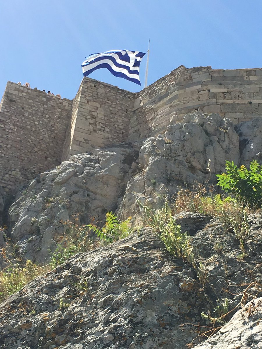 Gayle V. Economos tweet media