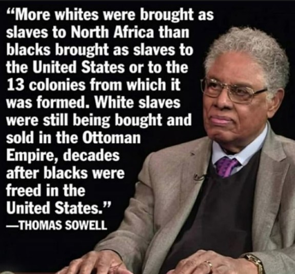 Dissident 1776. tweet media