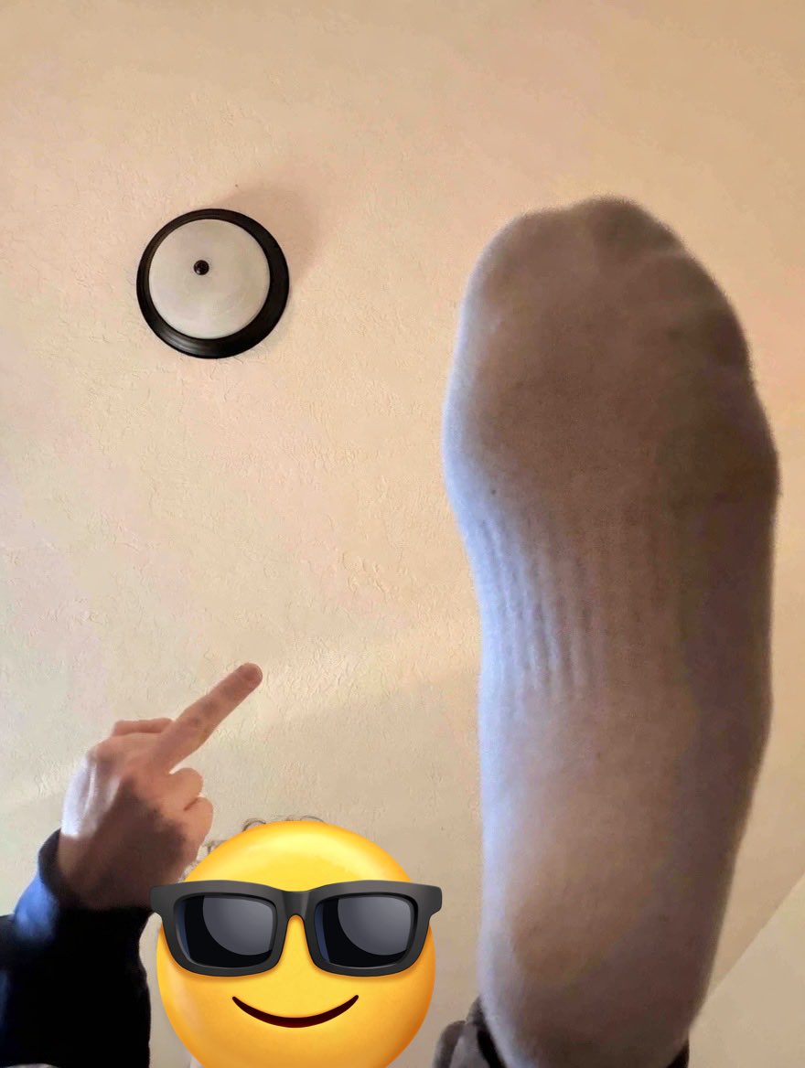 Master Shaun tweet media