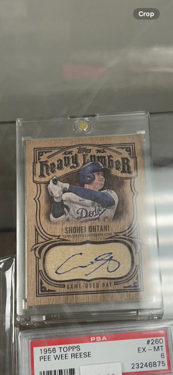 Joseph Repko tweet media