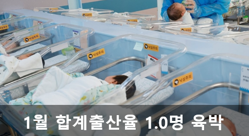 소멸할 나라니 뭐니 하면서 
일론 머스크에게 조롱 받던 나라인데 ....
7년 만에 대 반전!!! 
2019년 이후 최대라고 하네요!!
역시 지원을 많이 해주니 늘잖아요!!!
사실 저는 지원을 별로 못 받던 세대지만 
요즘 젊은 남자 사원들이 출산 휴가 한달씩 가면
라떼라는 생각보다는 그래! 저게 맞지!