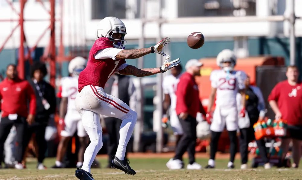 Matthew Mason tweet media