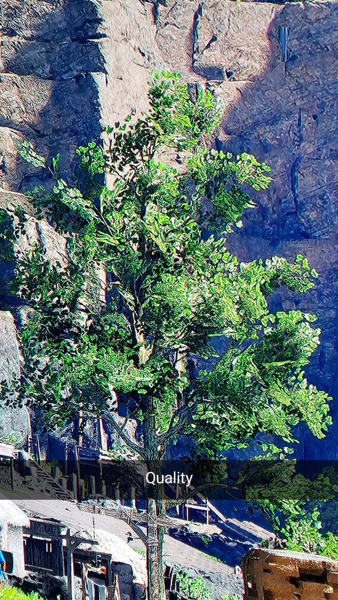 ℛ𝒶𝒹𝒶𝒽𝓃 | ♈️🐐 tweet media